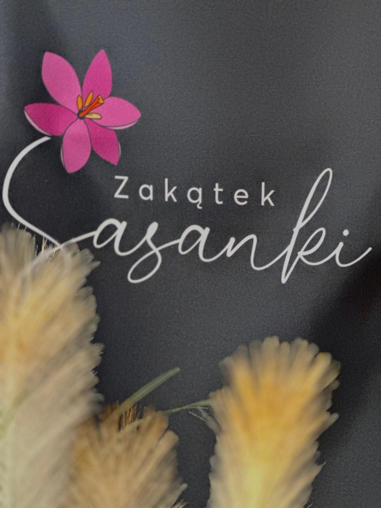 鲁比亚托沃Zakatek Sasanki别墅 外观 照片
